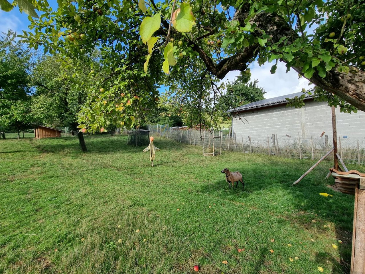 Schöner 3-Seitenhof der Wohn- und Lebenswünsche erfüllt!