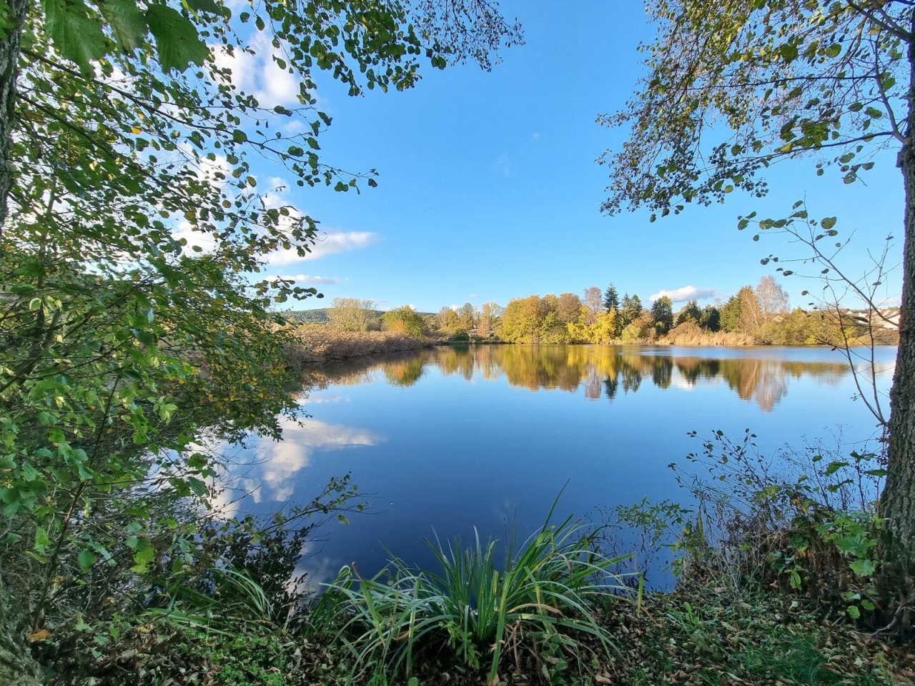 VERKAUFT - Ein See-Blick zum Träumen! Wohnen „mit einem Bein in der Natur“ auf 2.835 m² Grund!