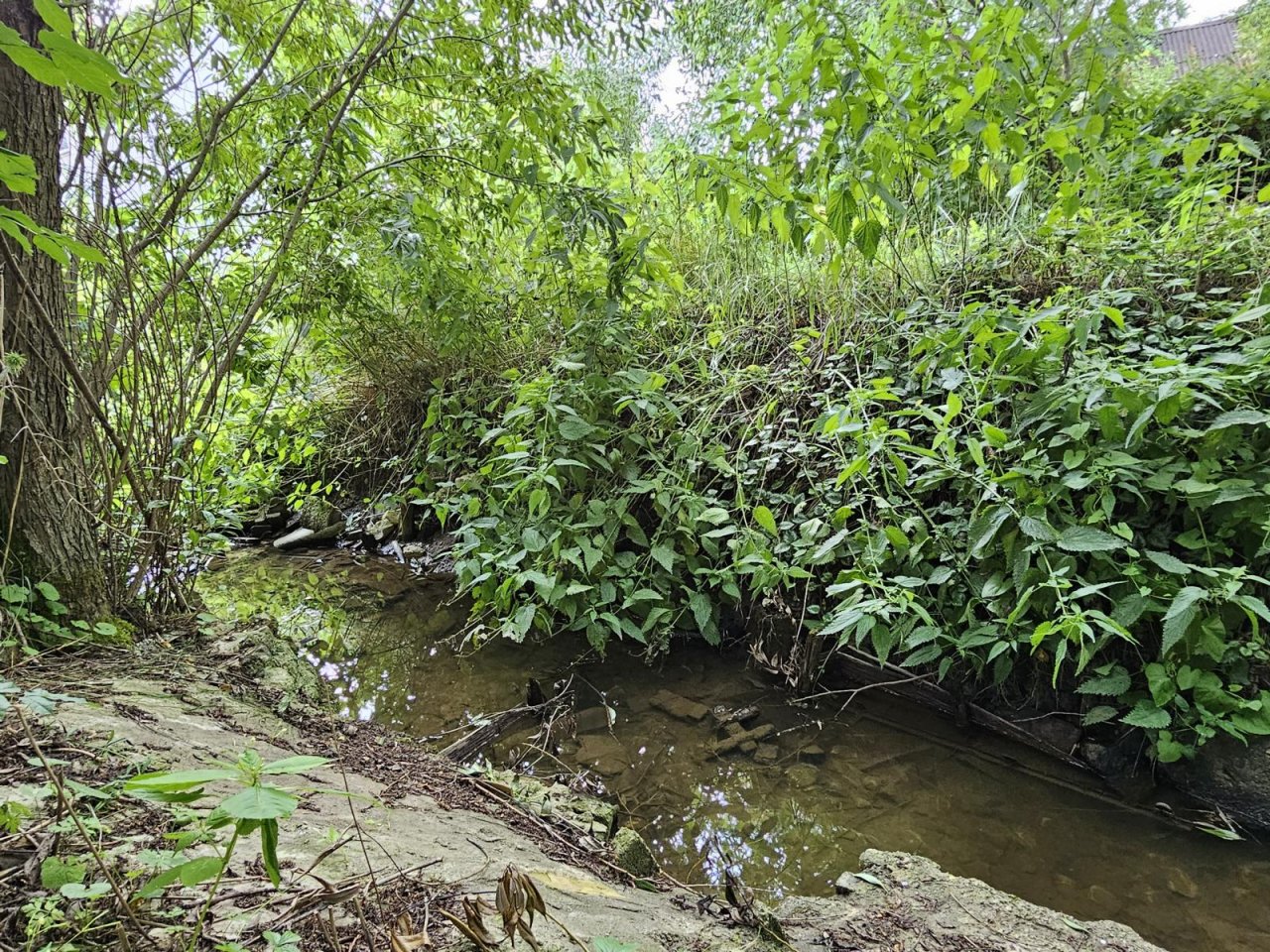 VERKAUFT - Wohnen im Park! Auf 2.086 m² Grund mit altem Baumbestand an idyllischem Bachlauf!