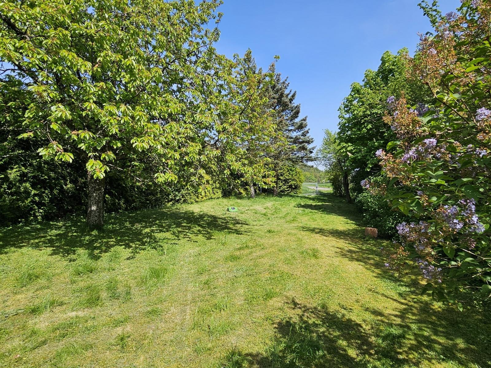 VERKAUFT - Alleinlage am Stadtrand von Coburg! Auf 2.031 m² großem Grundstück!