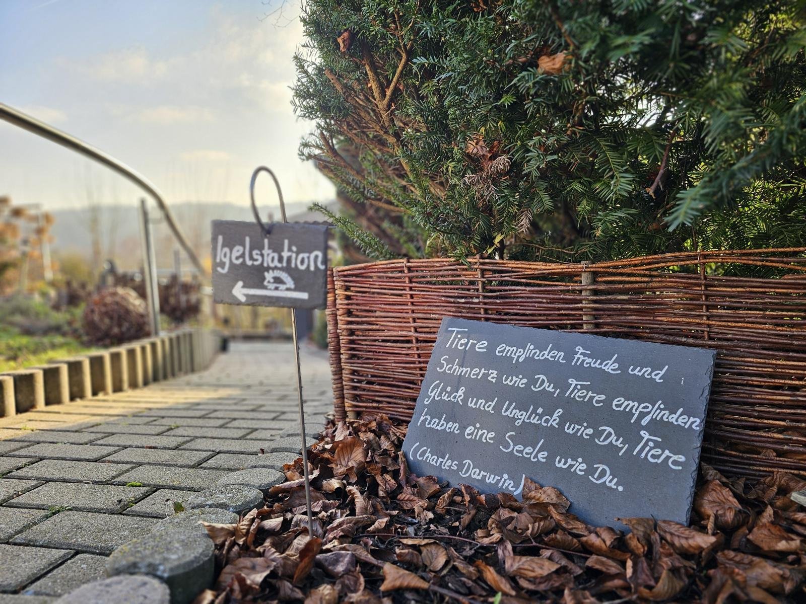 VERKAUFT -Doppelstöckiger Bungalow mit 2 barrierefreien Eingängen & Traum-Naturgarten!