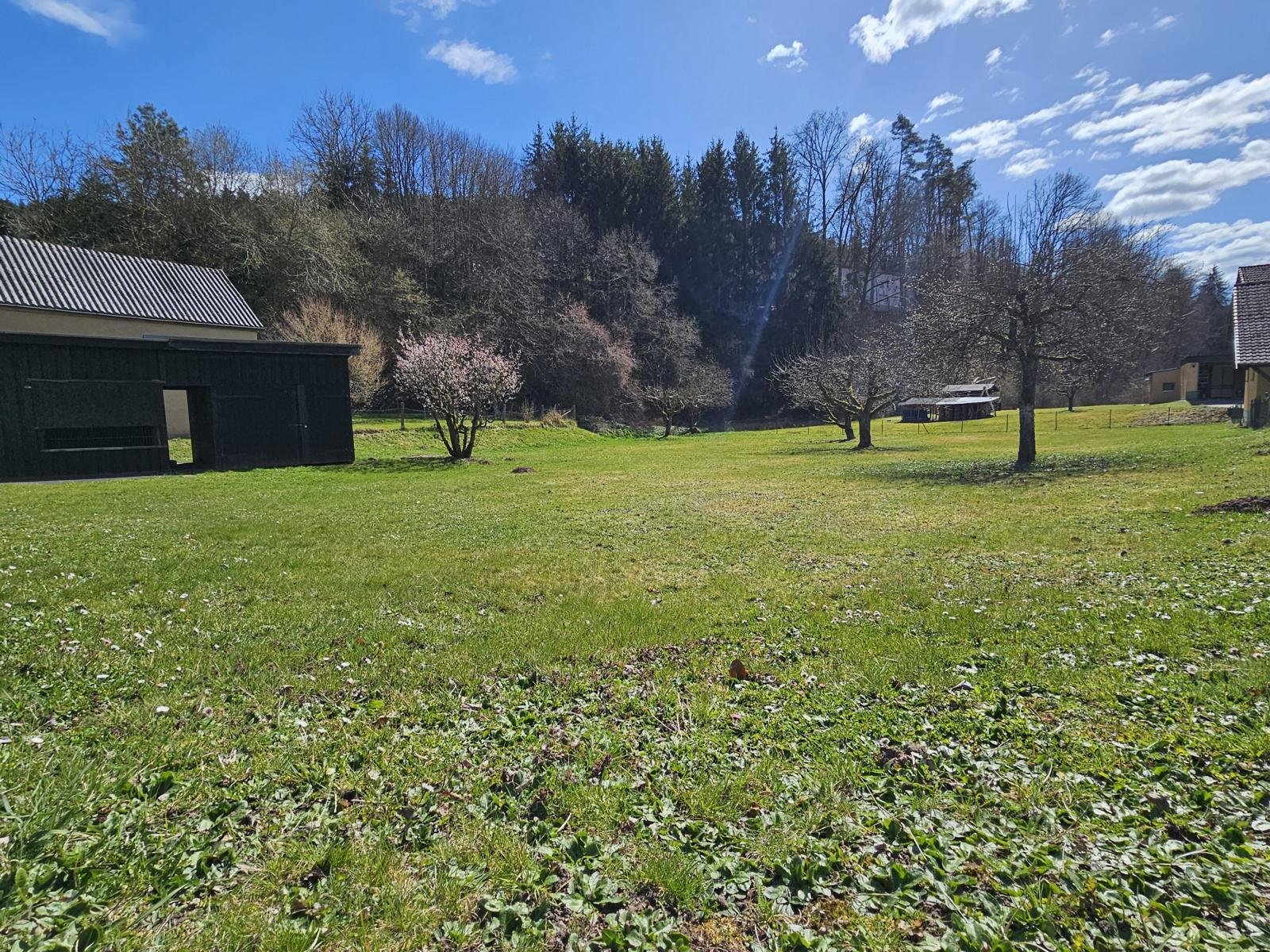 Reserviert - Naturidylle am Froschgrundsee - Einfamilienhaus mit herrlich großem Gartengrundstück