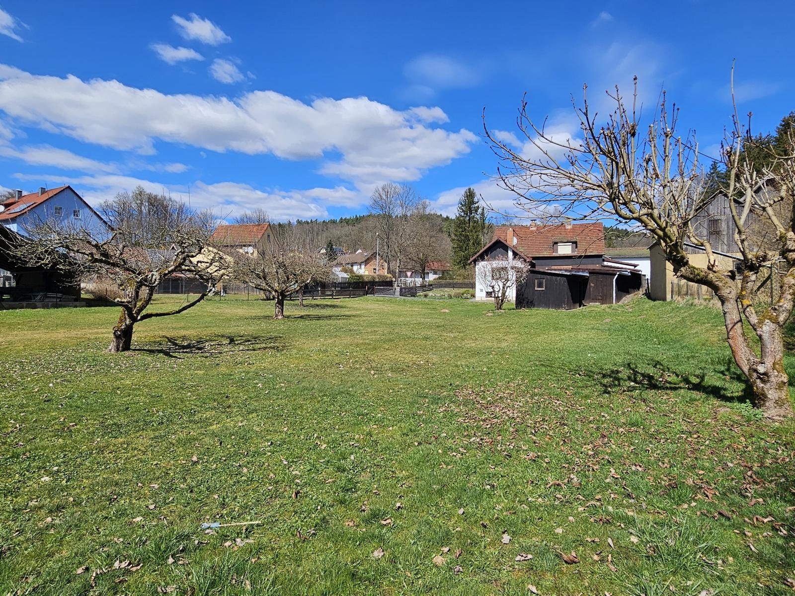Reserviert - Naturidylle am Froschgrundsee - Einfamilienhaus mit herrlich großem Gartengrundstück