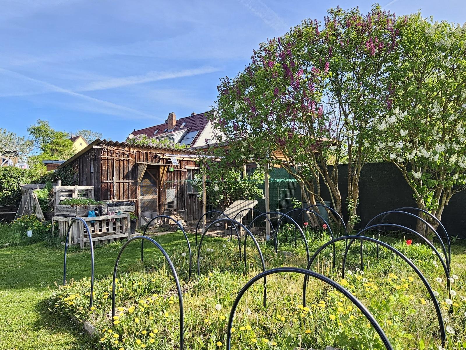 Harmonische Doppelhaushälfte mit Garage und Garten in Zentrumsnähe!