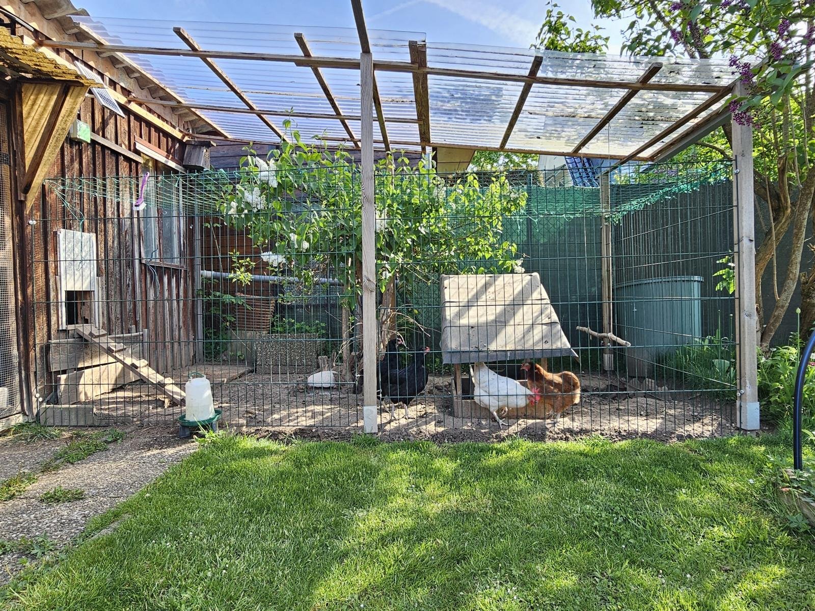 Harmonische Doppelhaushälfte mit Garage und Garten in Zentrumsnähe!