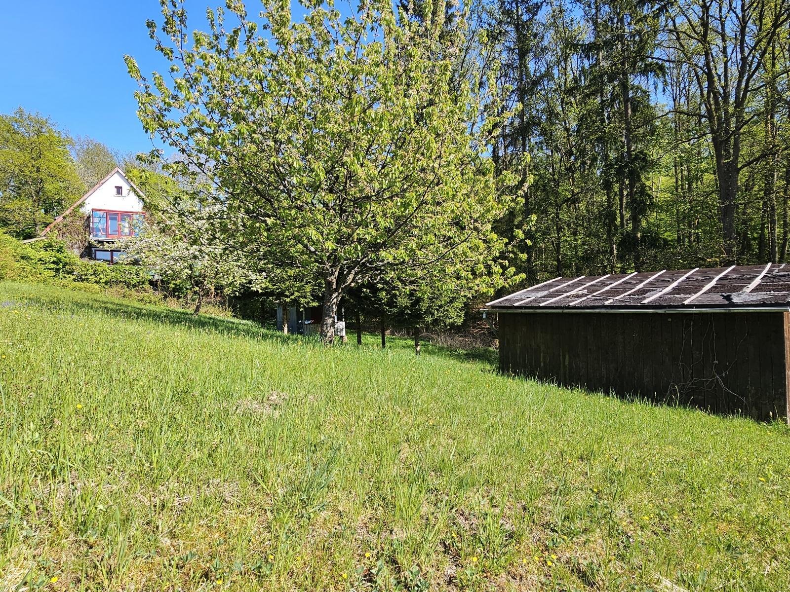 RESERVIERT-Die Ruhe selbst - Urlaubsfeeling in Waldrandlage von Lautertal!