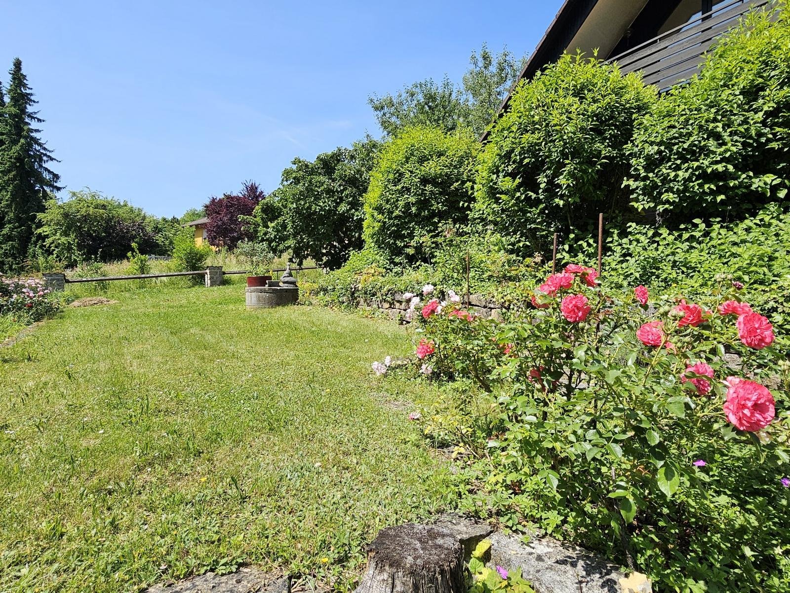 Naturnah leben, entspannt wohnen – Einfamilienhaus mit viel Raum!