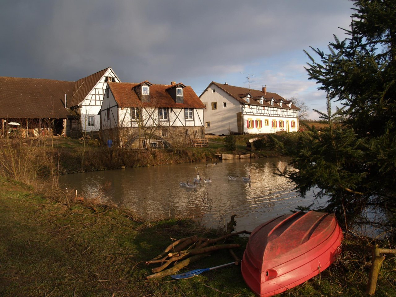 Weiher bei Dämmerung
