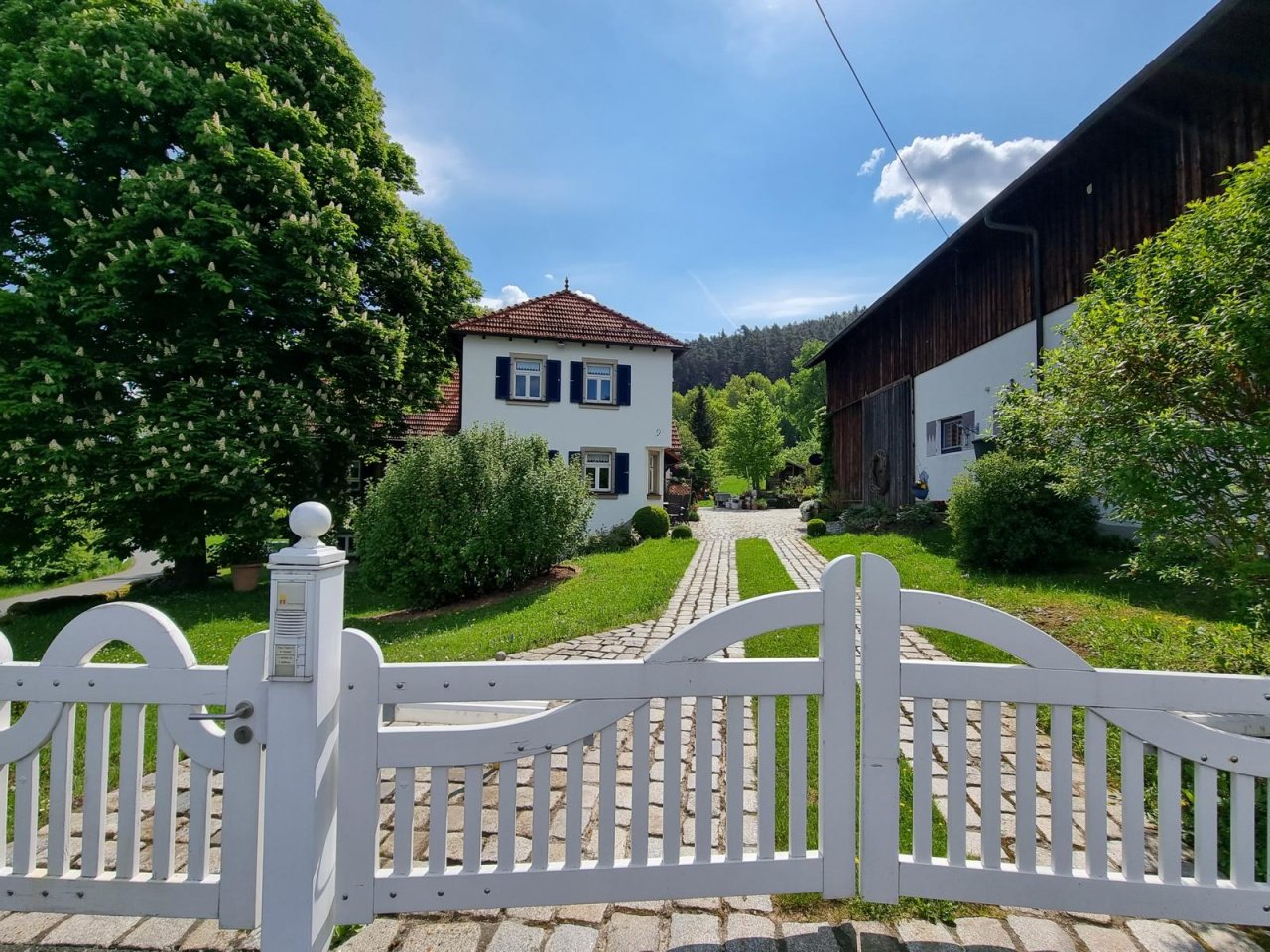 Tor u. herrschaftliche Auffahrt