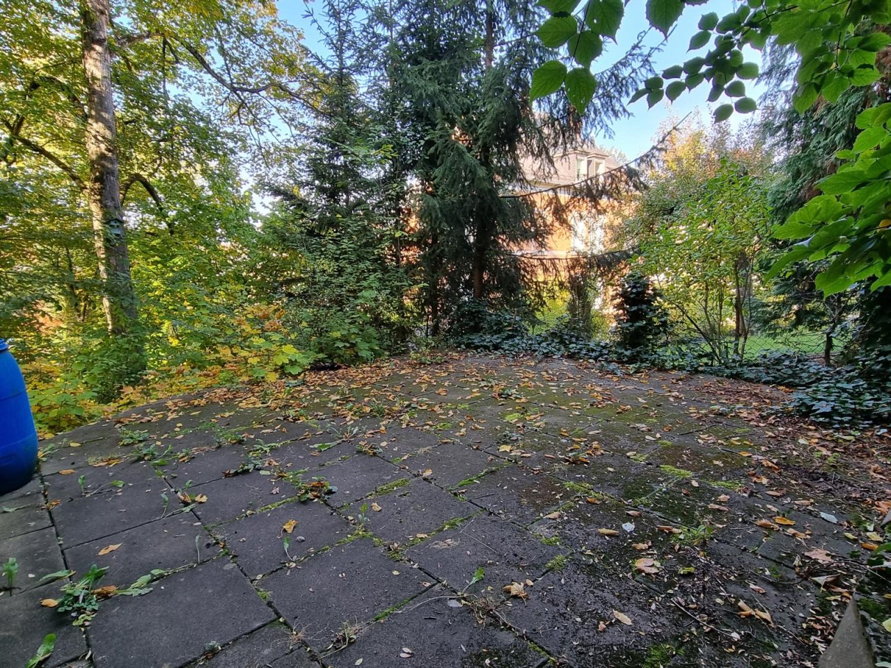 Sichtgeschützte Terrasse