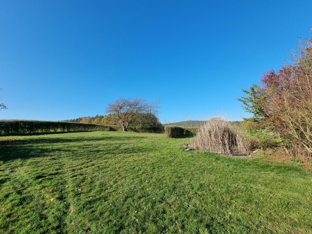 Großes Sonnengrundstück