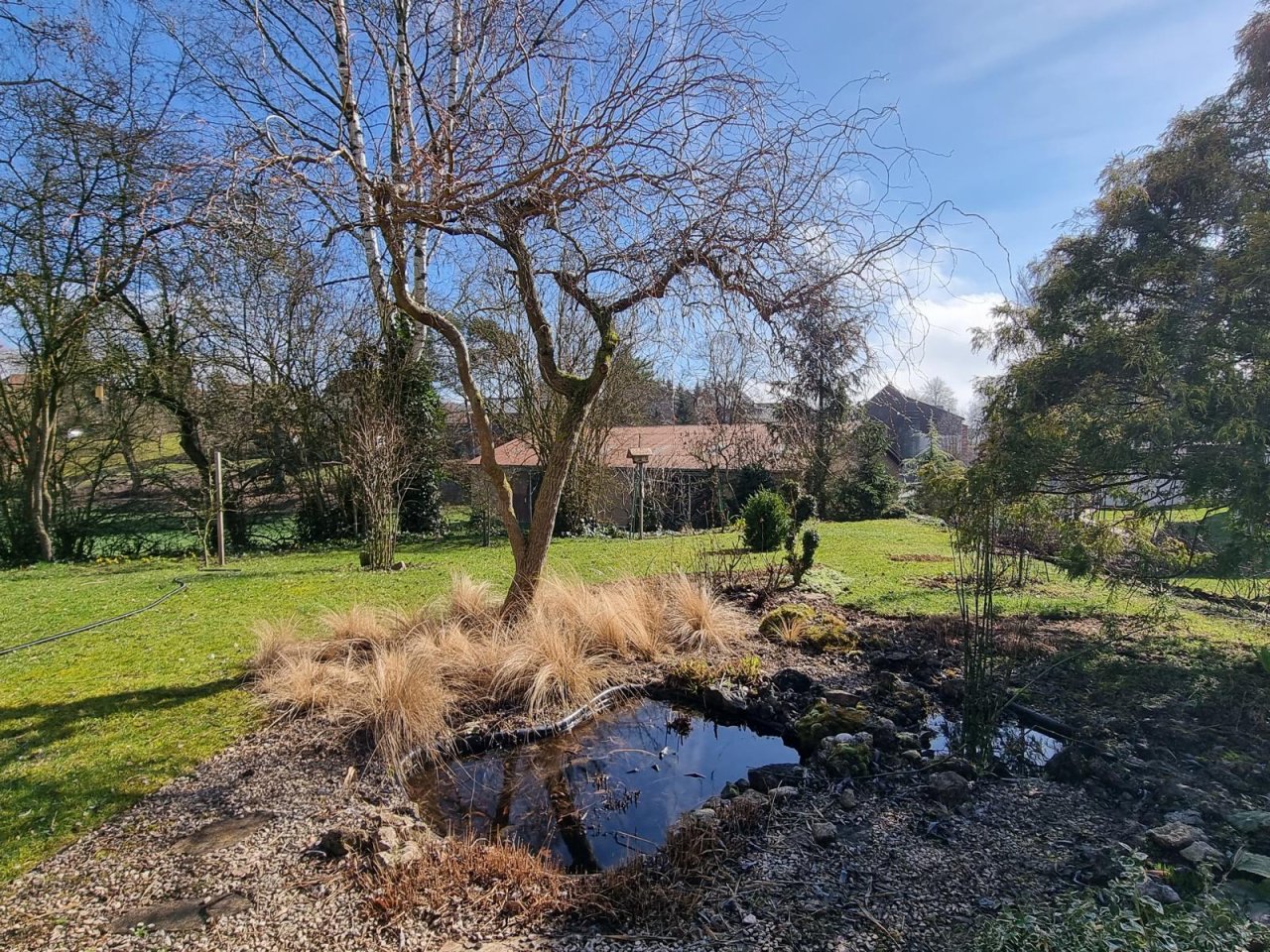 Sehr gepflegte Gartenanlage