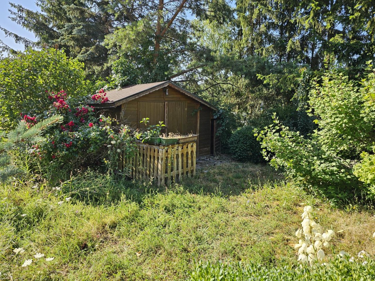 Garten mit Geräteschuppen
