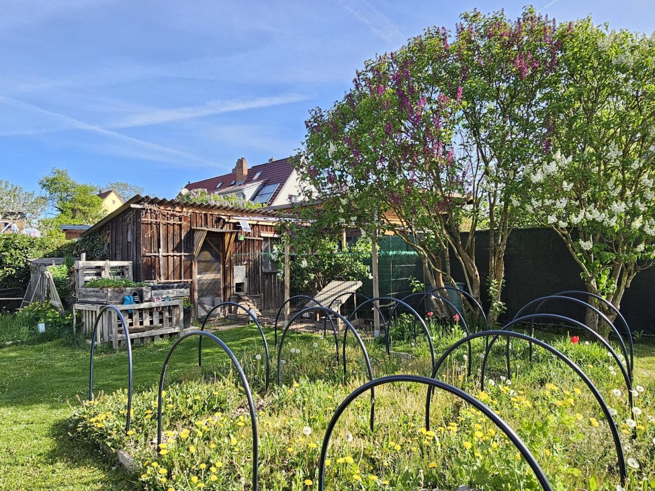 Selbstversorger Garten