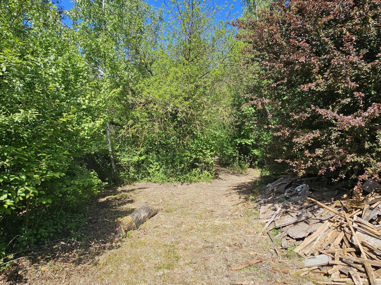 Eigener Privatwald mit Baurecht!