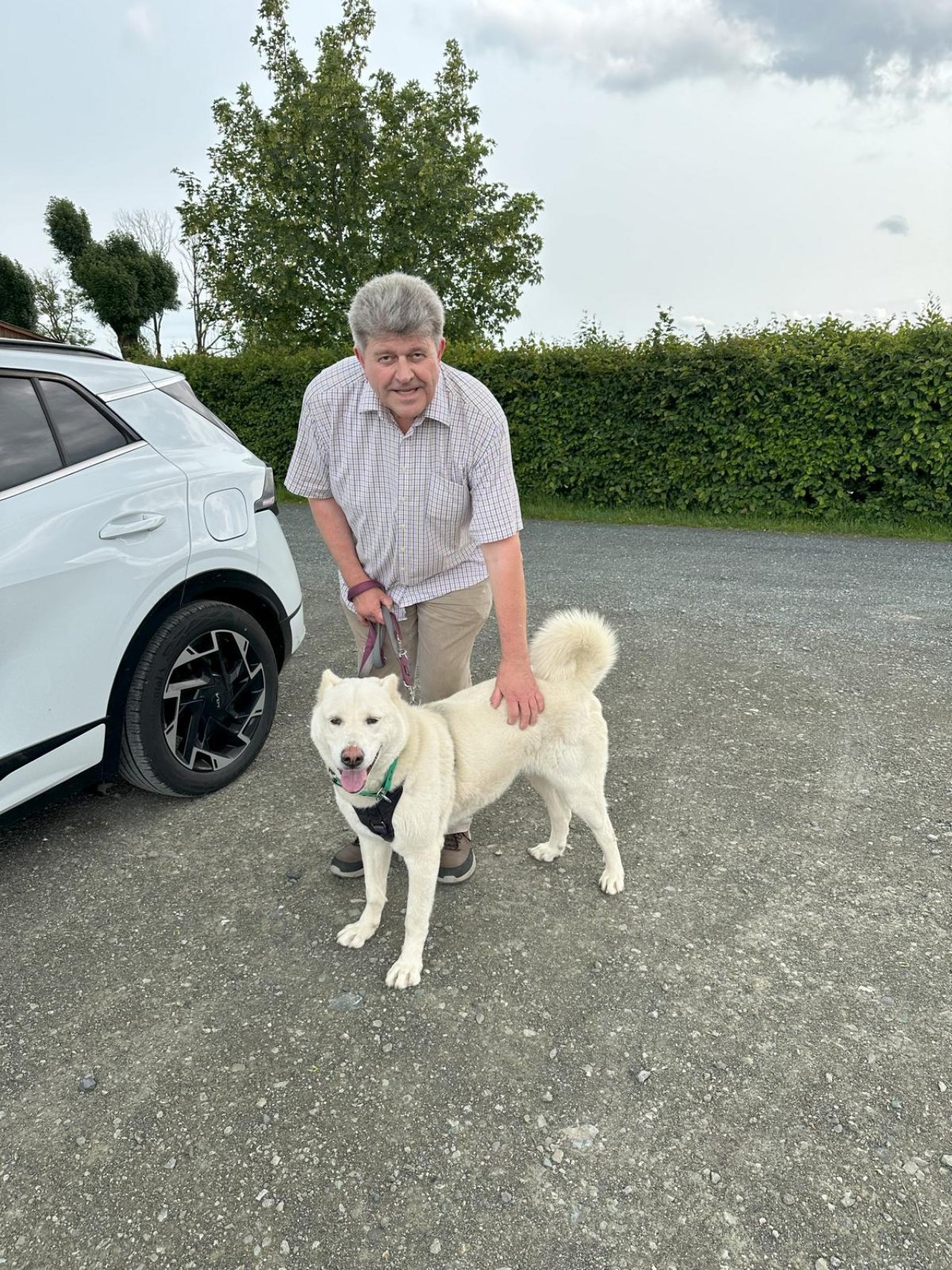 Diese tolle Hündin würde gerne mit einziehen, siehe Text