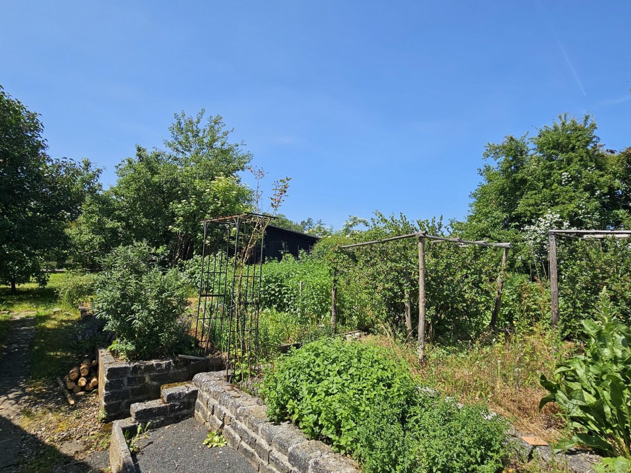 Platz für Gemüse und Obst